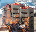 За два месяца в Тульской области уничтожено 60 тонн санкционной продукции