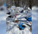 В Пролетарском районе Тулы обнаружили кучу мусора из ящиков пенопласта