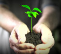 В Туле пройдёт День экологических знаний