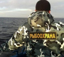 В Новомосковске рыбак сломал ногу инспектору рыбоохраны