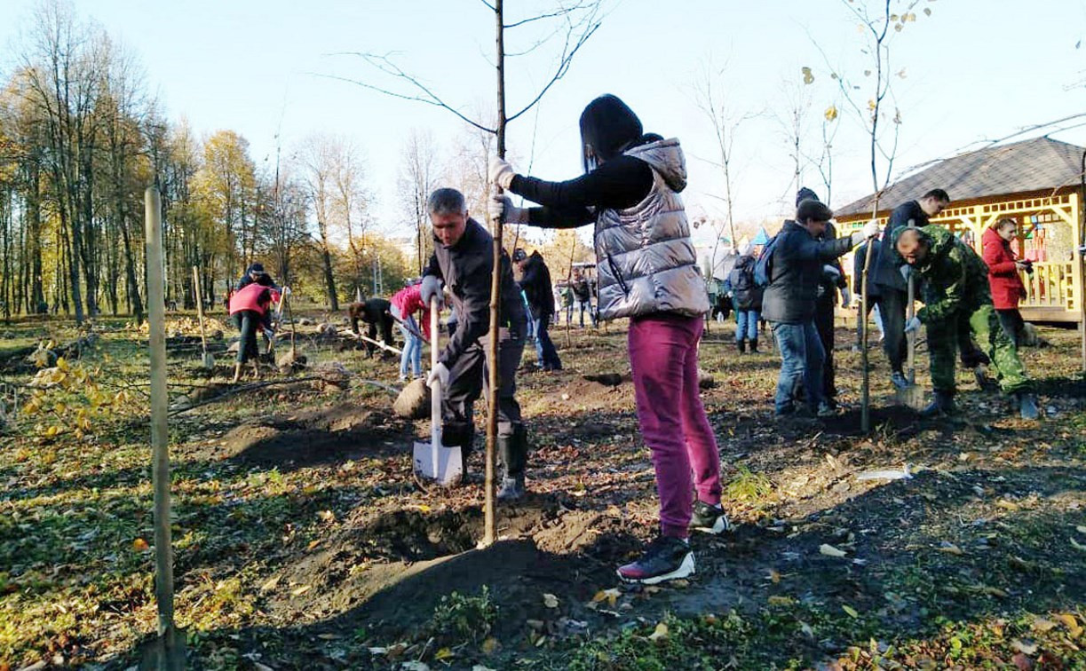 В Баташевском саду провели субботник и посадили деревья