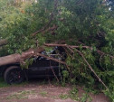 На улице Декабристов в Туле на Jeep Grand Cherokee упало дерево