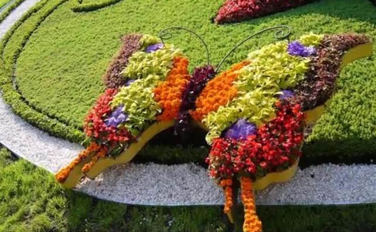 В Туле появятся ёжики, бабочки и зонтики из цветов