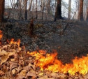 Метеопредупреждние: В Тульской области объявлен пятый класс пожарной опасности