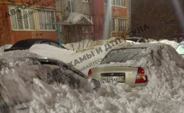 Лавина снега с крыши накрыла припаркованные автомобили в Щекино 
