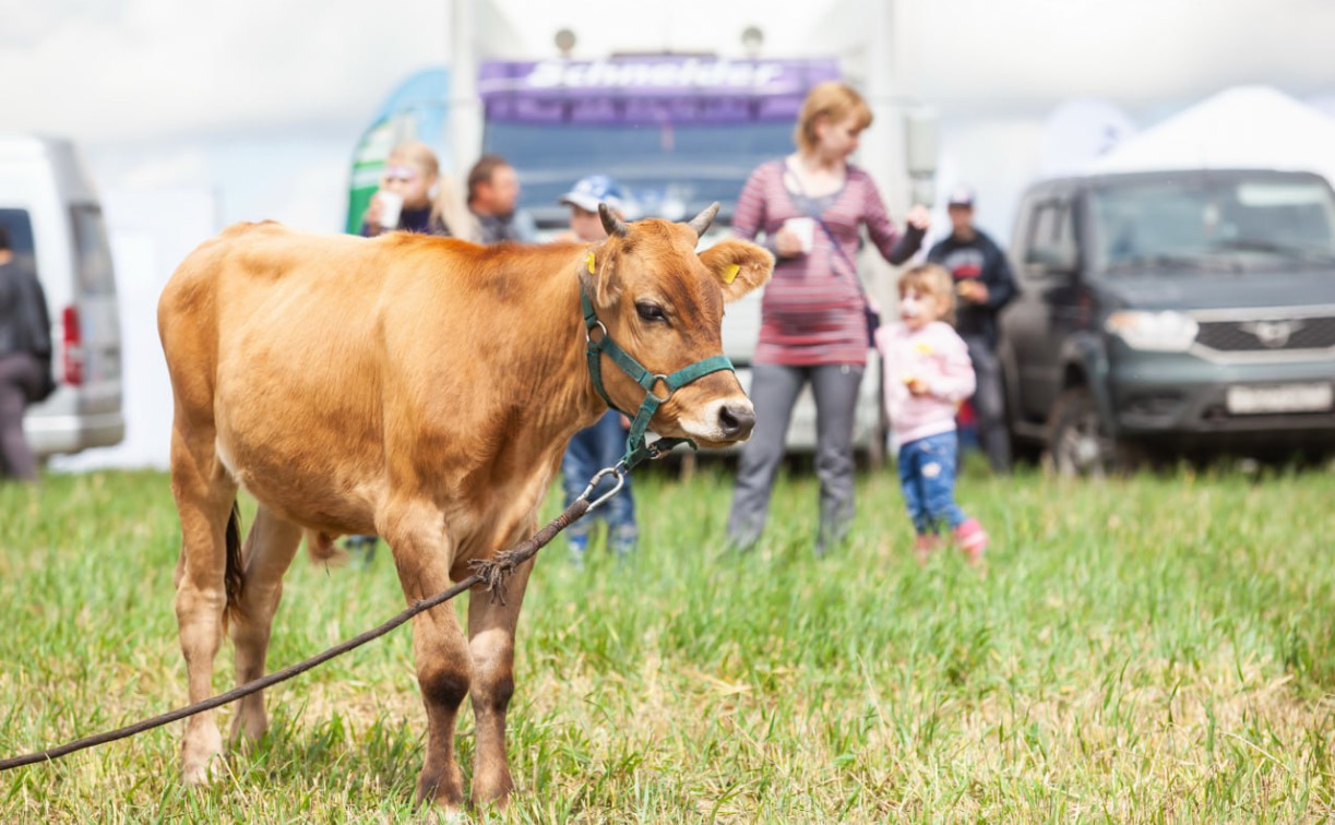 В Тульской области выберут лучшего зоотехника