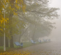 Погода в Туле 8 сентября: облачно, сухо, местами туман