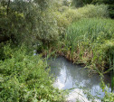 В реку Иншинку несколько лет стекает канализация