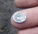 В Чекалине Тульской области откопали клад со старинными монетами