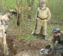 В Калужской области найдены останки туляка, погибшего во время Великой Отечественной войны