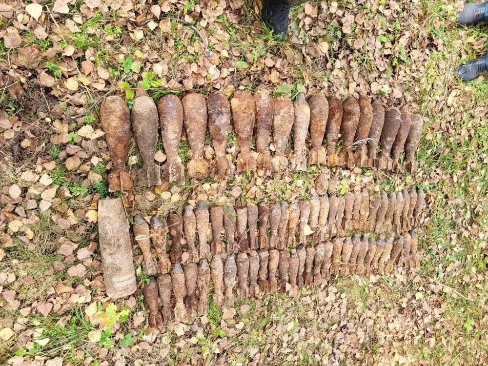 В Арсеньевском районе обезвредили 17 миномётных мин