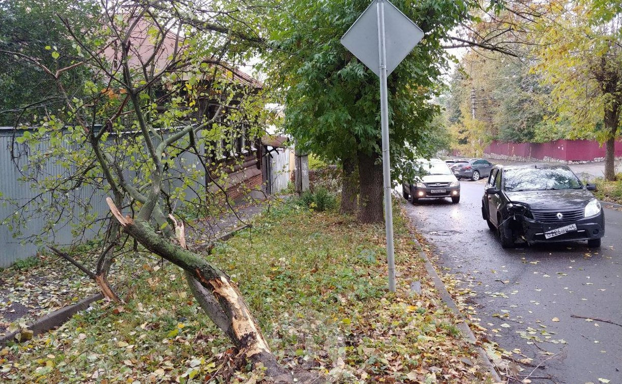 На ул. Тимирязева машина повалила дерево после ДТП с такси