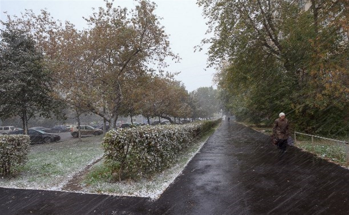 Тульские синоптики прогнозируют дождь со снегом на 22 октября