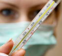 В Тульской области будет работать горячая линия по профилактике гриппа и ОРВИ