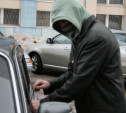 В Щекинском районе 19-летний юноша обчистил машину