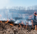В Тульской области 3 апреля начнётся пожароопасный сезон