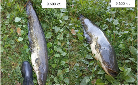 Жизнь Тулы и области