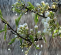 Погода в Туле 23 марта: дождь, облачность и потепление
