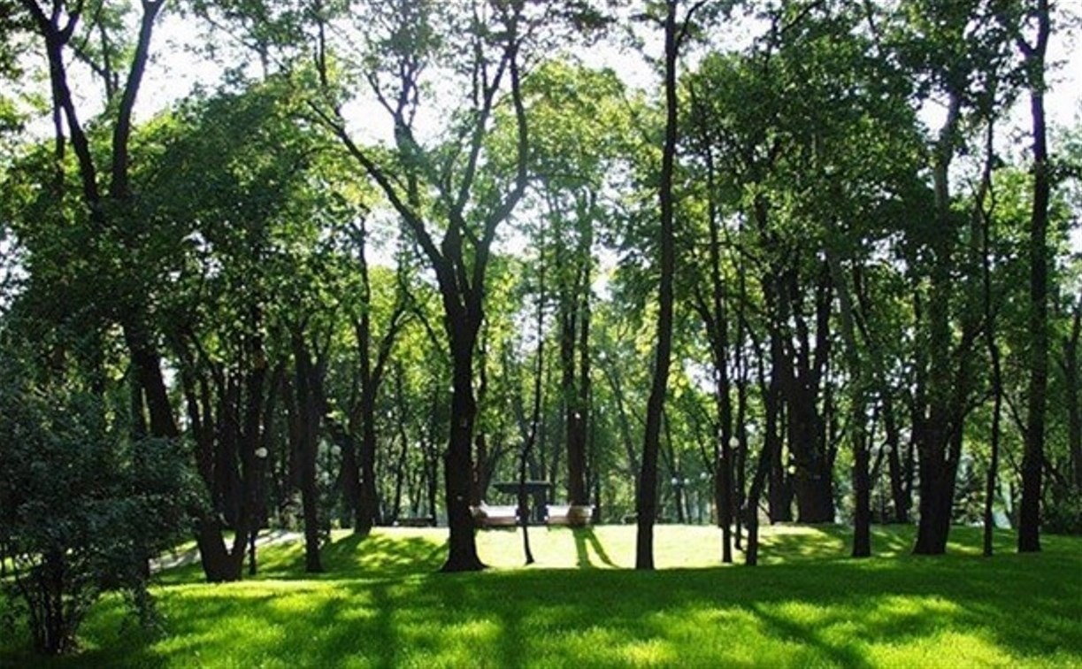 Парк «250-летию ТОЗа» переведут в ведомство «Тульских парков»