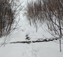 Жители ул. Рязанской жалуются на канализационные стоки, загрязняющие ручей