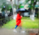 Погода в Туле 26 июля: дожди, грозы и до 30 градусов тепла