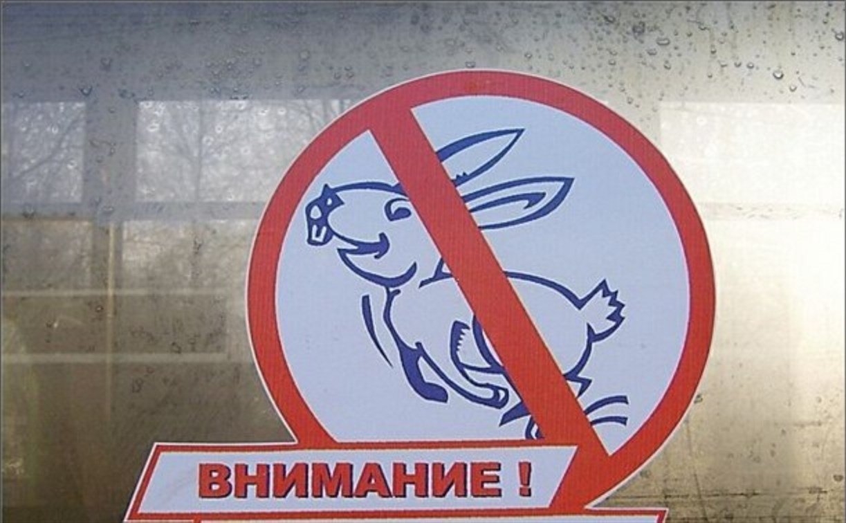 За безбилетный проезд в электричке туляков оштрафуют на 1500 рублей