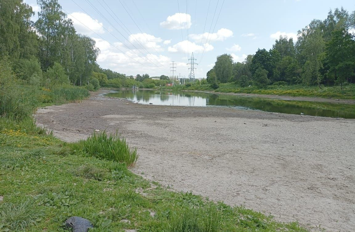 Туляки: «Пруд в Рогожинском парке продолжает мелеть — это катастрофа»