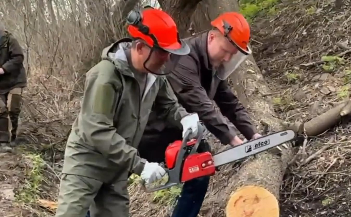 Губернатор Миляев вышел на субботник с бензопилой