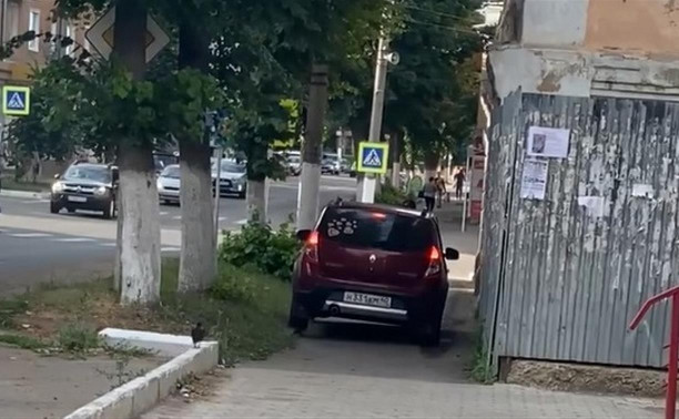 «Накажи автохама»: в Богородицке калужанин на Renault нагло проехался по тротуару