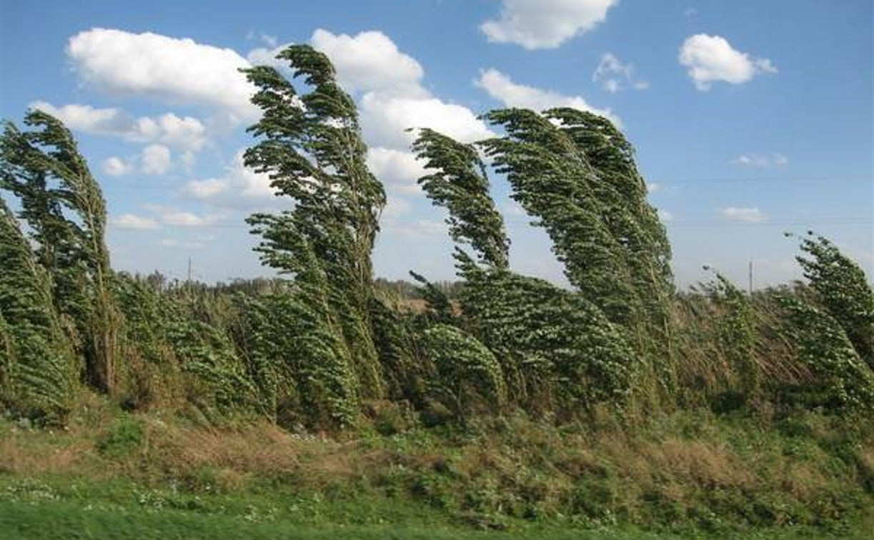 В Тульской области ожидается сильный ветер
