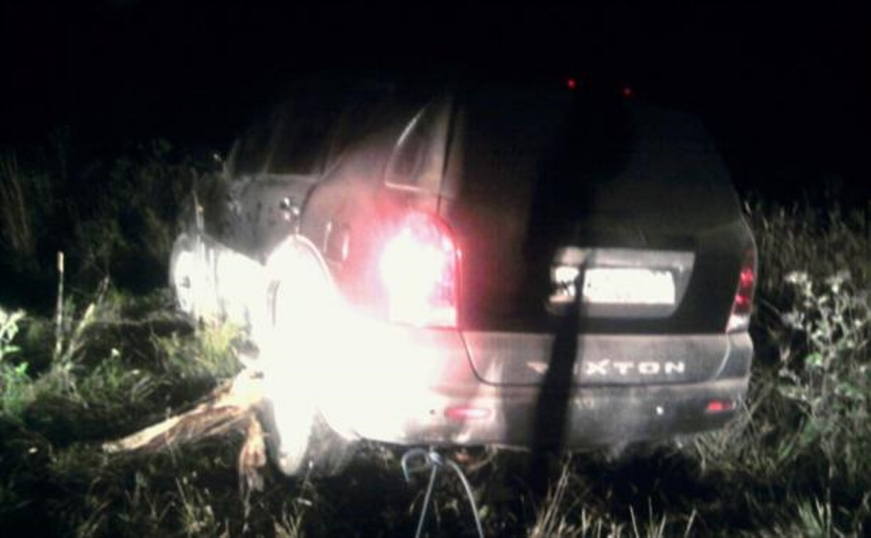 Ночью в Щёкинском районе автомобиль без водителя сбил человека
