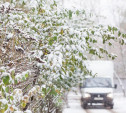 15 ноября в Центральной России наступит метеорологическая зима