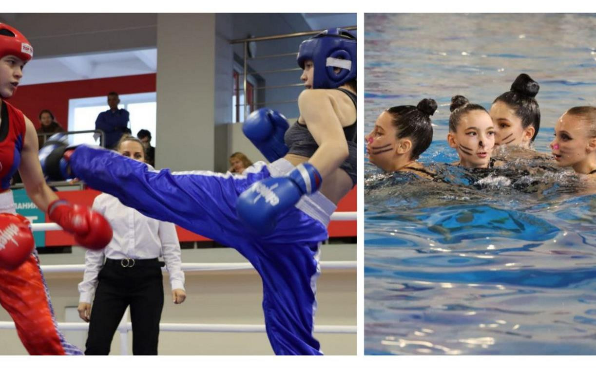 В Щекино стартовали масштабные соревнования по кикбоксингу и синхронному плаванию 