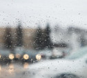 Погода в Туле 20 февраля: мокро, ветрено и прохладно