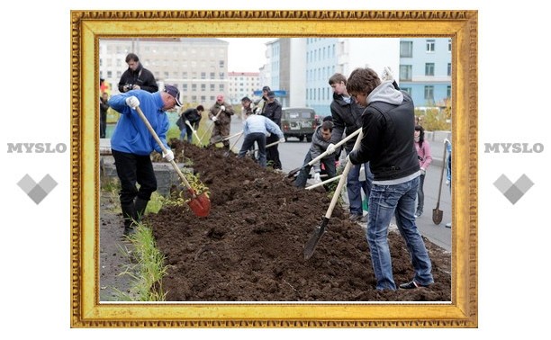 Тульские чиновники выйдут на субботник и озеленят улицы города