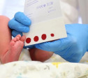 В Тульской области расширили неонатальный скрининг: новорожденных будут проверять на два новых заболевания