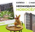 В ЖК «Надёжный» заметили неожиданных новосёлов — пушистых и с ушами