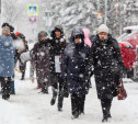 Погода в Туле 17 января: мороз и метель