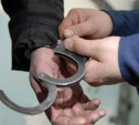 В Новомосковске осудили мигранта-наркодилера
