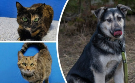 Жизнь Тулы и области