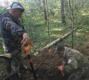 В лесу в Тульской области нашли два неизвестных захоронения солдат
