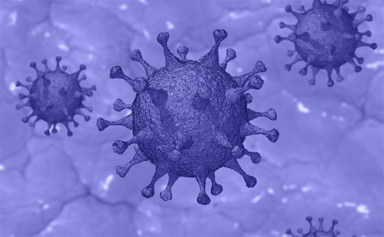 Новые случаи коронавируса в Туле: заболевшие находились в контакте с ранее инфицированными