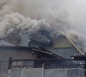 Пожар в Зареченском районе Тулы попал на видео