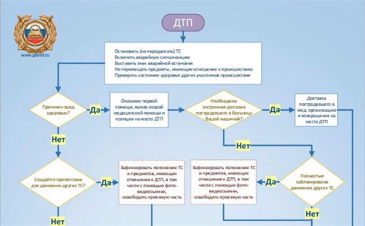 ГИБДД опубликовала алгоритм действий водителя в случае ДТП - Новости Тулы и  области - MySlo.ru