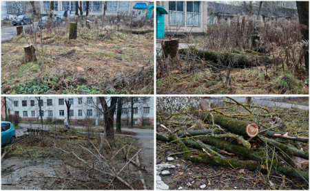 Жизнь Тулы и области