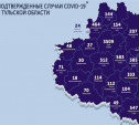 В каких городах Тульской области есть COVID-19: карта на 10 августа