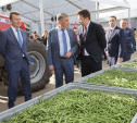 В Тульской области открылся комплекс по выращиванию и переработке зеленого гороха и стручковой фасоли