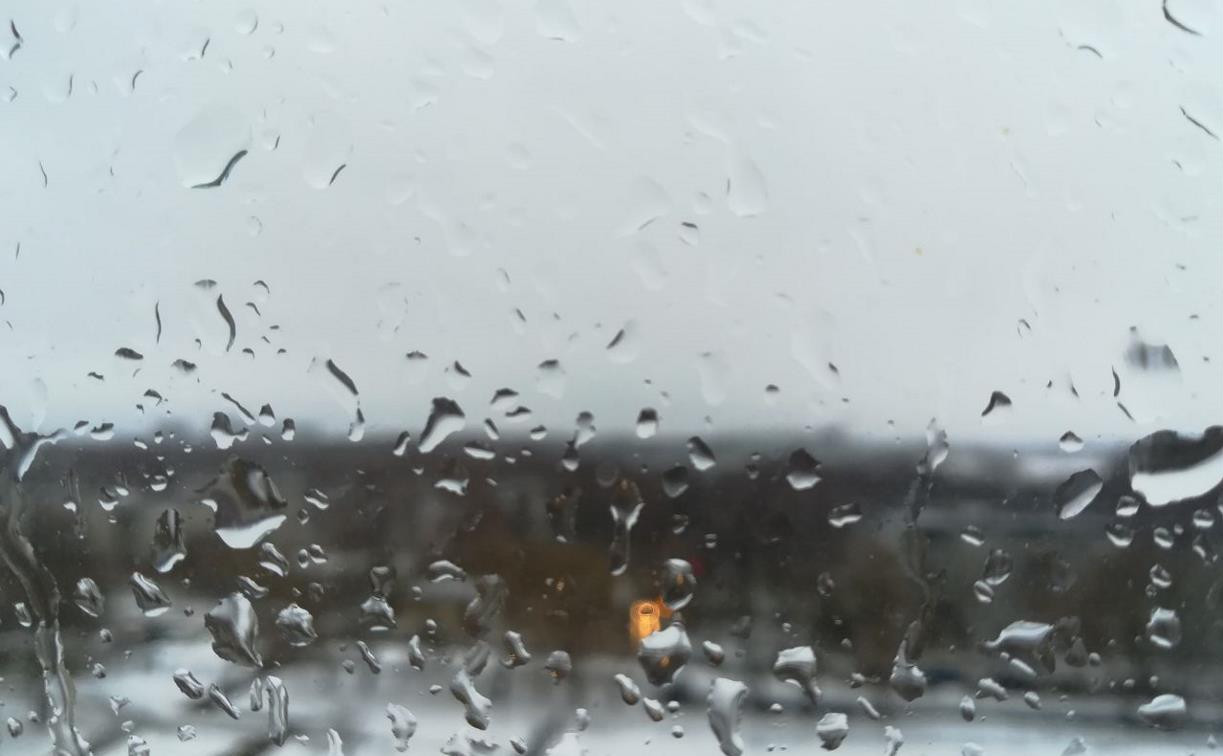 Погода в Туле 19 января: мокро, ветрено и до +5 градусов