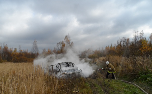 В Суворовском районе в поле сгорел "Мицубиси"