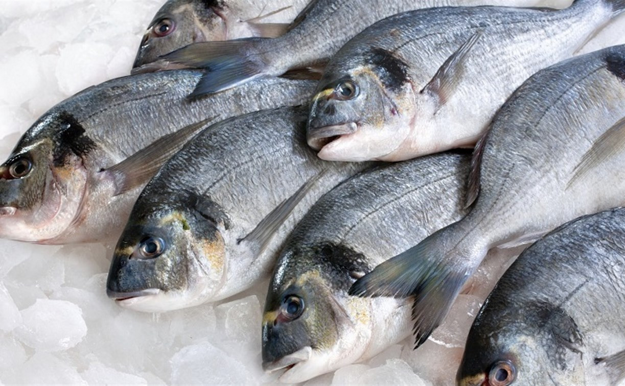 В Тульской области Роспотребнадзор снял с реализации 62 кг рыбы